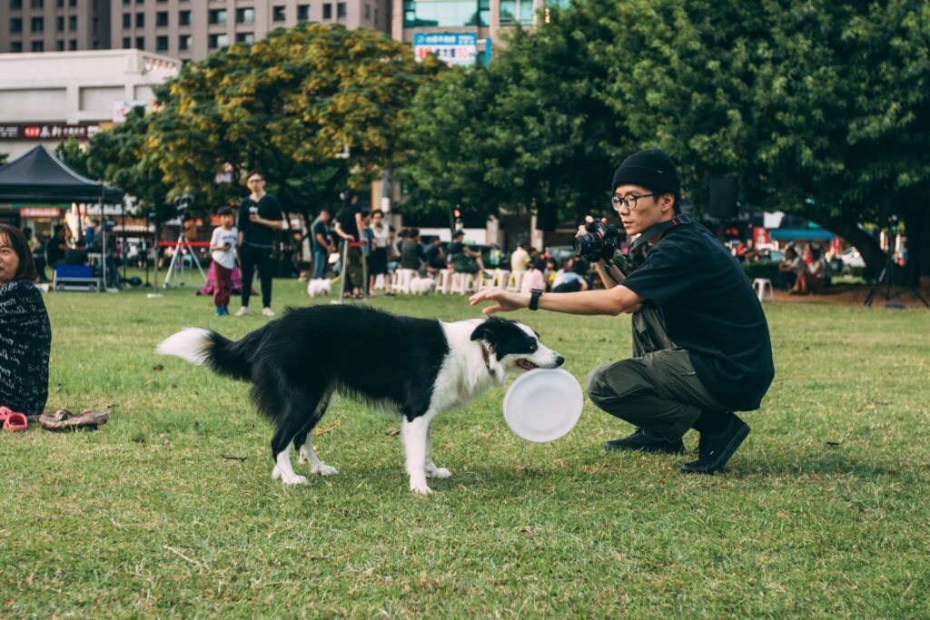 dog training tips man holding black and white dog