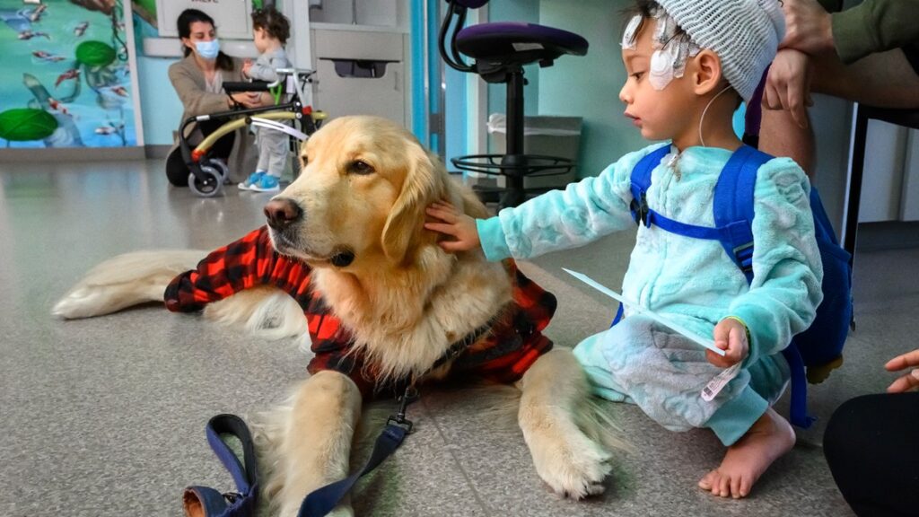 Dog Training for Hospital Visits 2