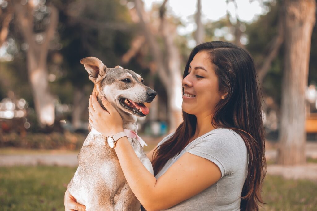 how to train my dog not to bark