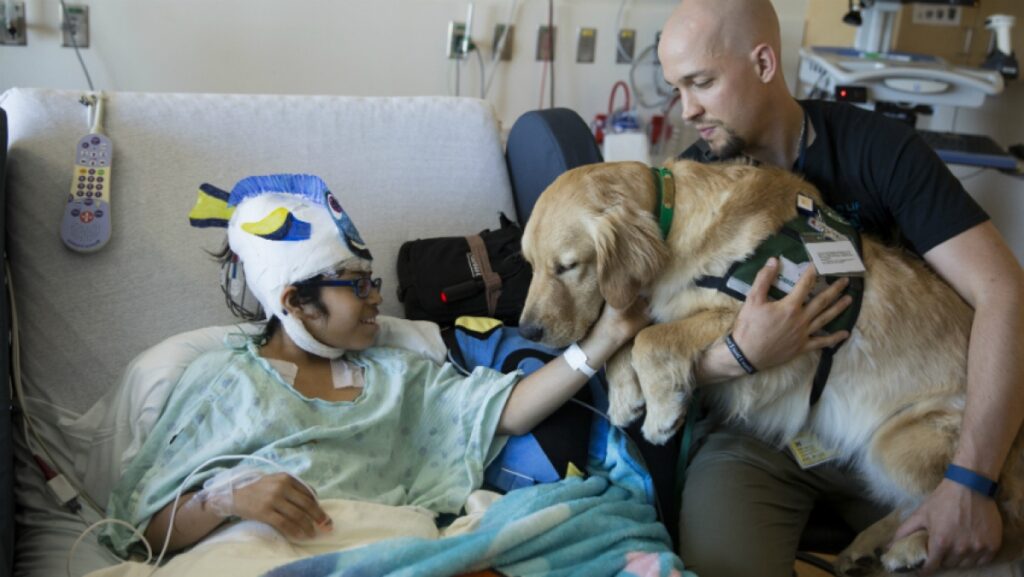 therapy dog in a hospital training