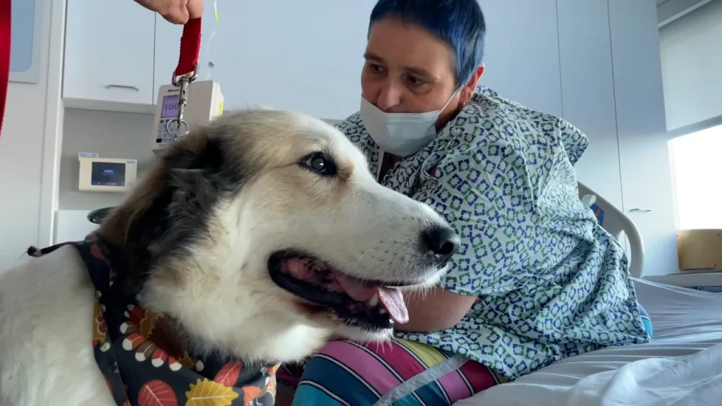 therapy hospital dog training