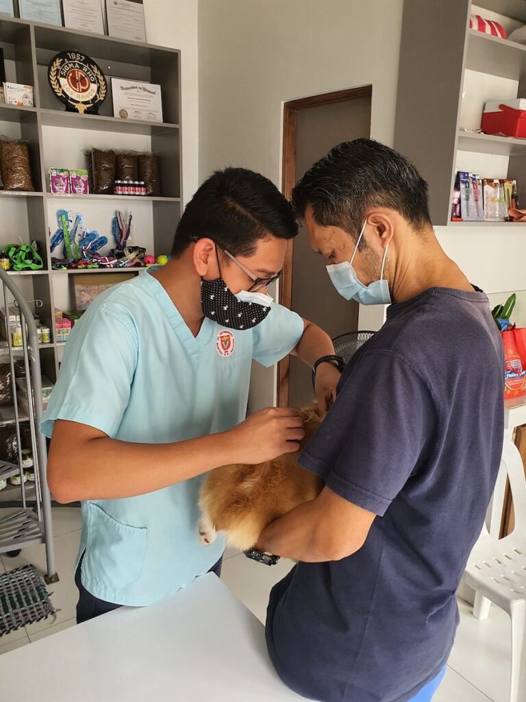 canine care: a man in a blue shirt and a man in a blue shirt and a dog